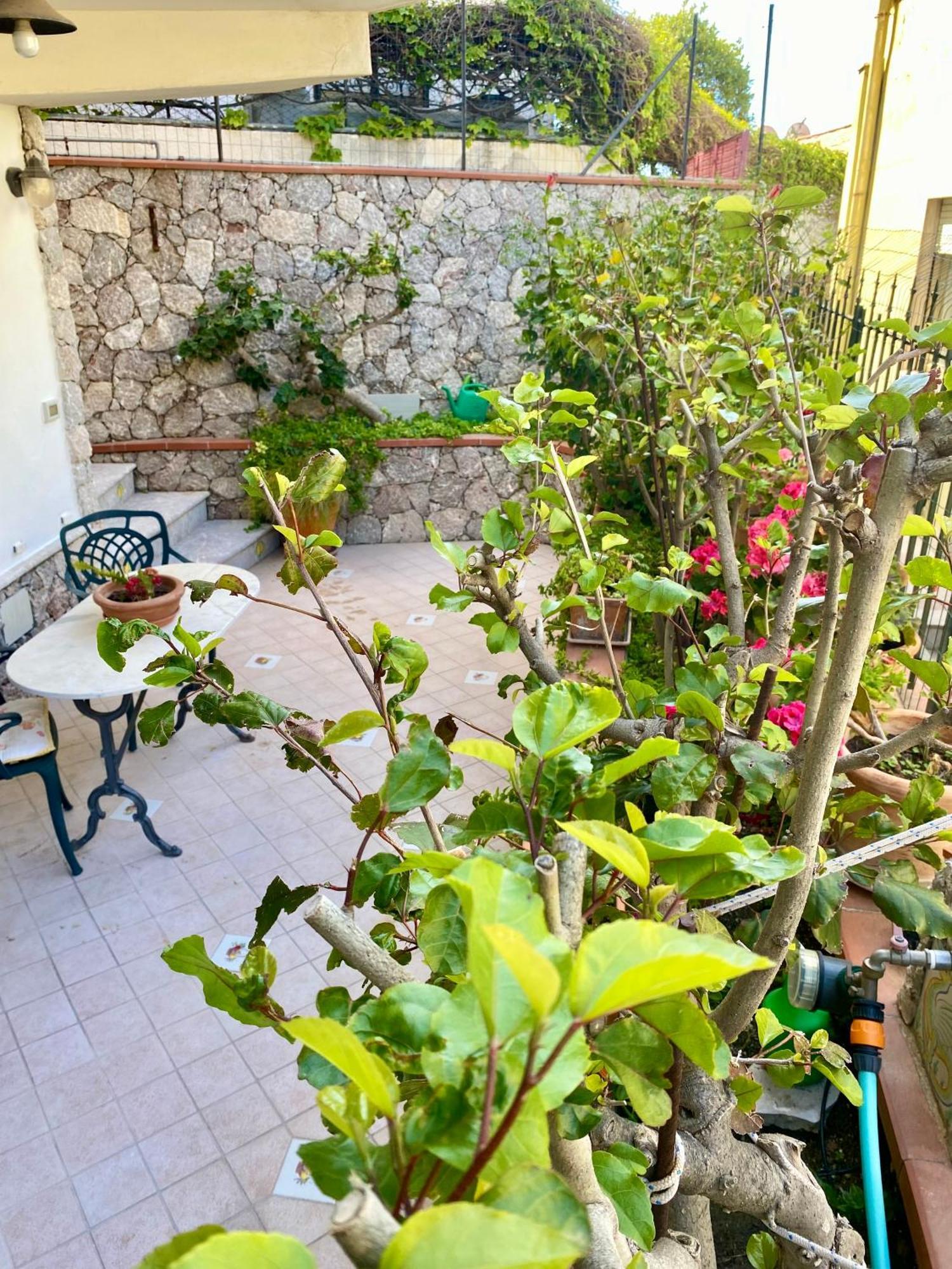 Casa Limoncello Villa Таормина Екстериор снимка